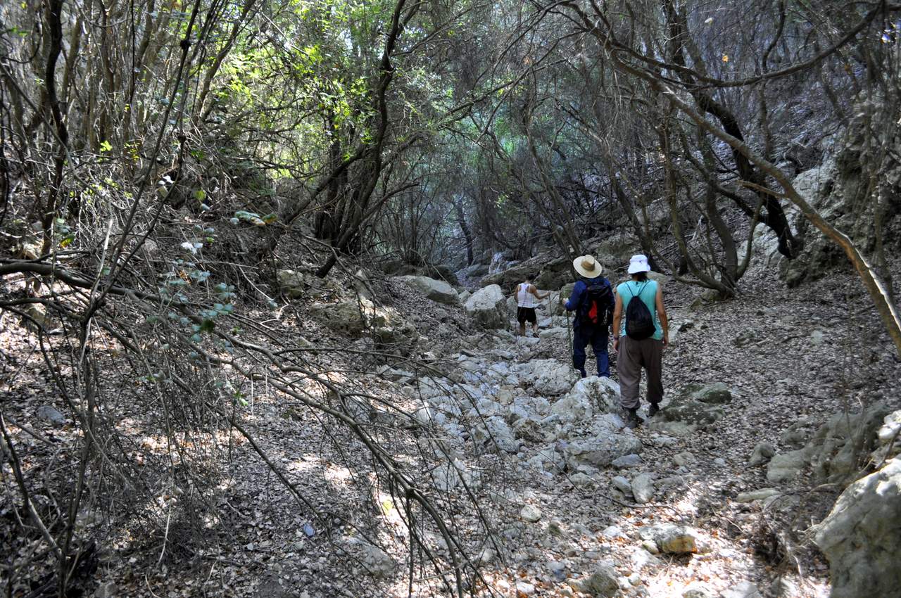 Kythera trail searching