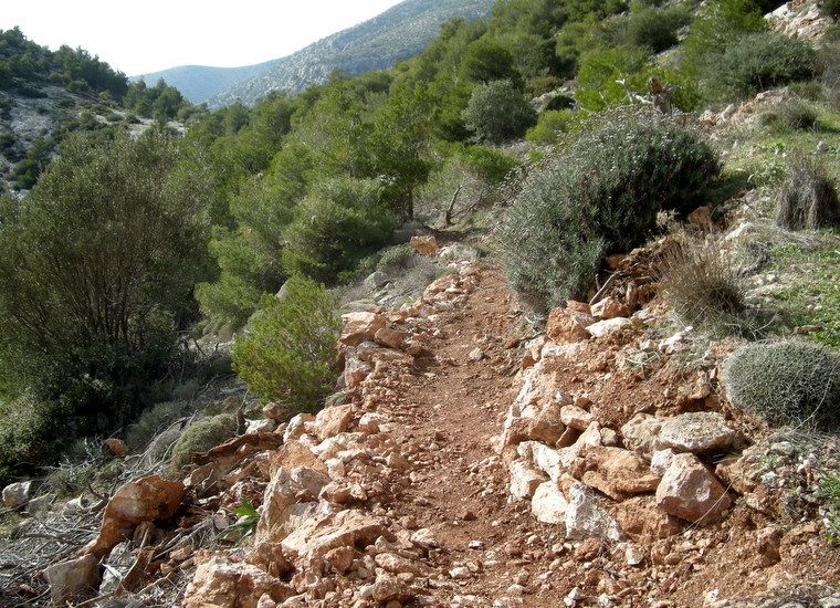 Ymittos_hiking_trails_Athens_03