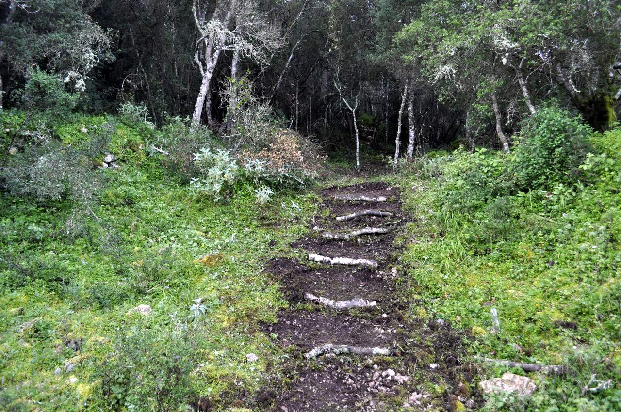 Σκαλοπάτια σε μονοπάτι Paths of Greece building