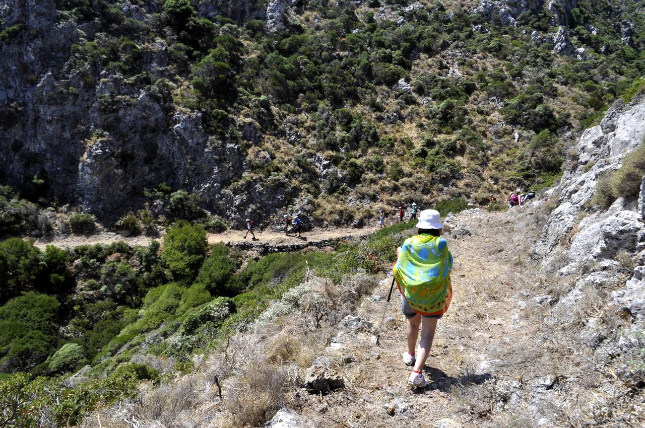 Καθαρισμός μονοπατιών Paths of Greece cleared trail