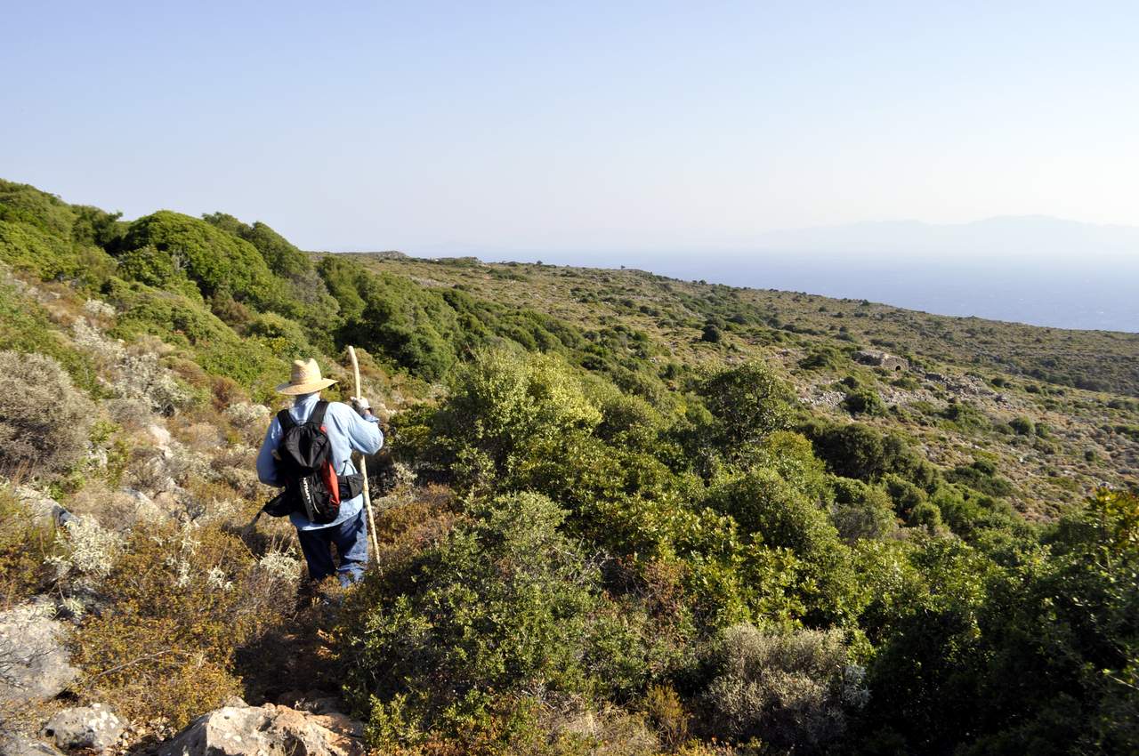 Μονοπάτια αναζήτηση έρευνα