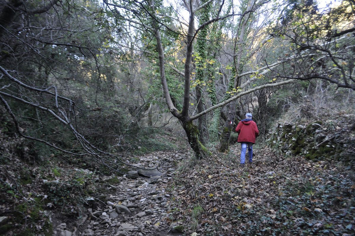 Hike the Apollo Epicurius Trails