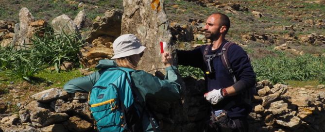 Tinos Trails way-marking