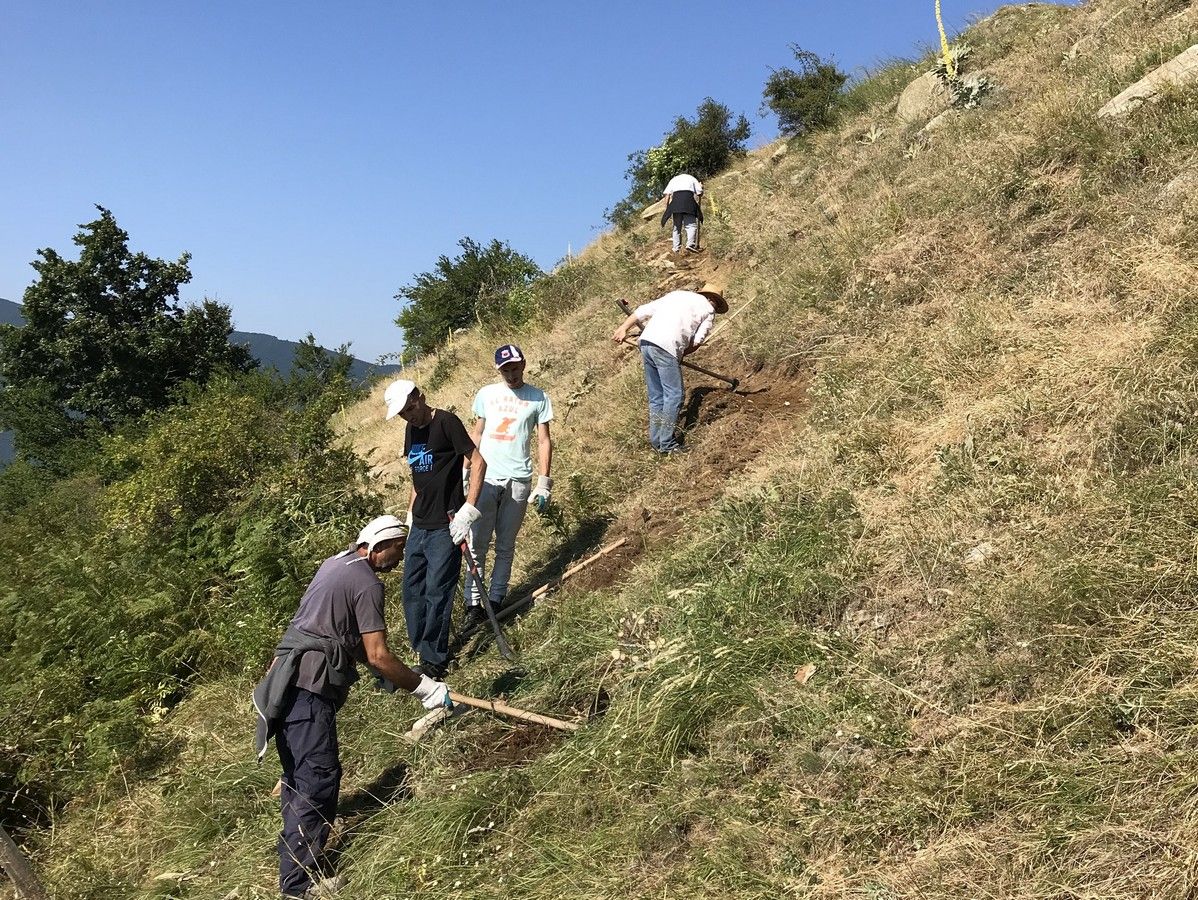 Paths of Peace trail clearing