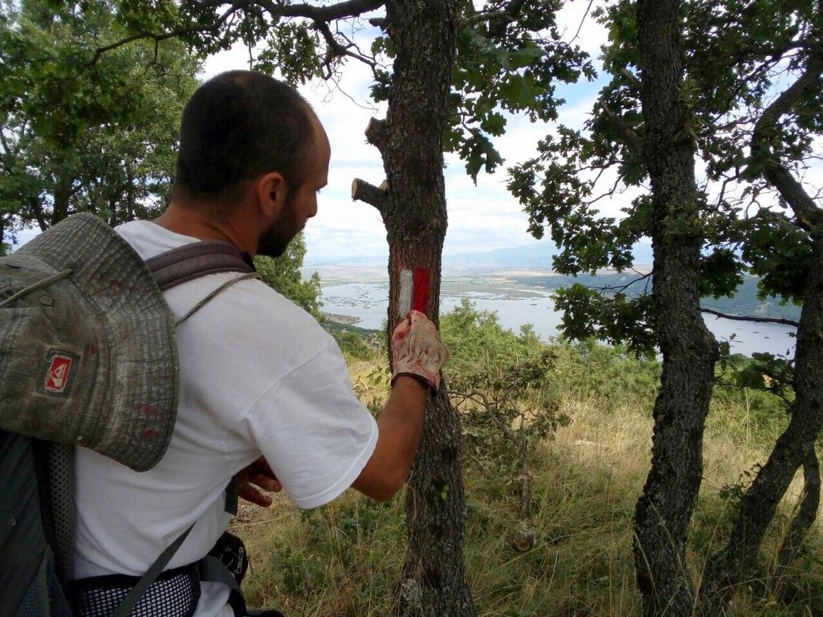 Paths of Peace waymarking