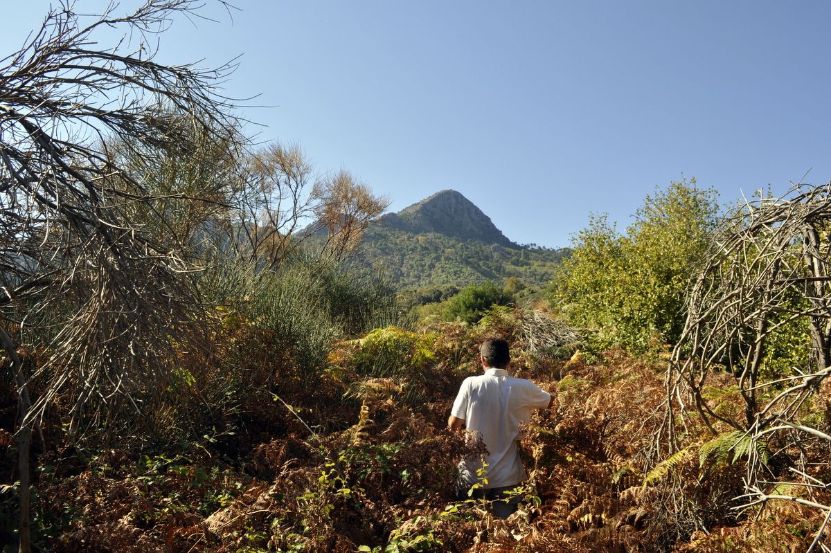 exploring path of the muscat vineyards