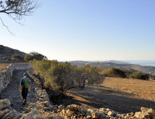 (Ελληνικά) Οδοιπορικό στην Κάσο