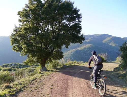 Δίκτυο Ποδηλατικών διαδρομών στην Αμπελιώνα