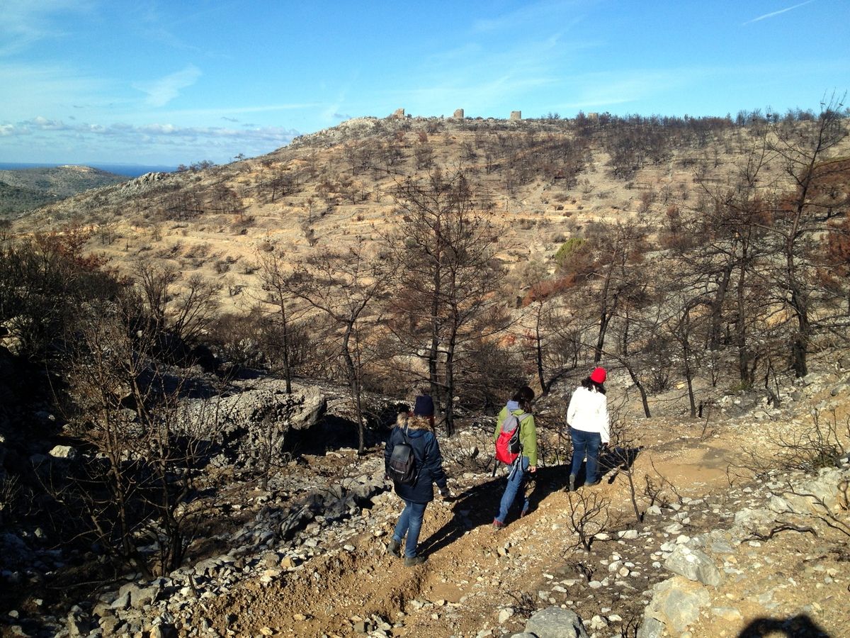 hiking-burned-trail