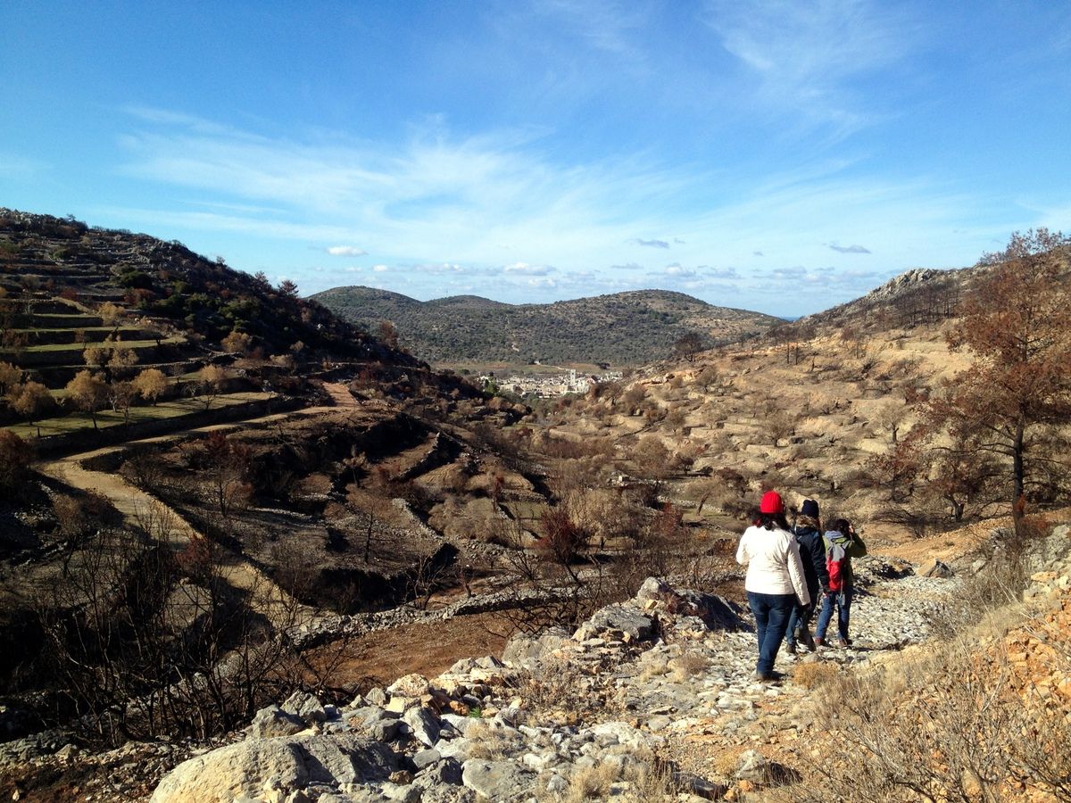 hiking-burned-area