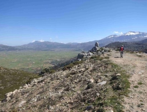 Trail scouting in Lasithi