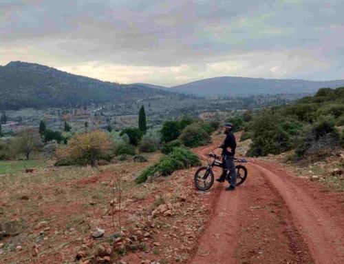Σχεδιασμός δικτύου κοινότητας Δεσφίνας