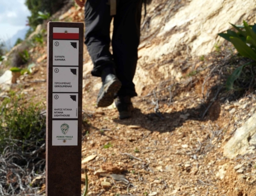 Trail directional signs
