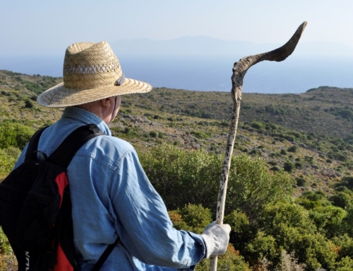 Πεζοπορικά ατυχήματα στην Ελλάδα